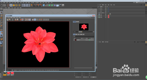 C4D怎么制作花朵開放的動畫效果