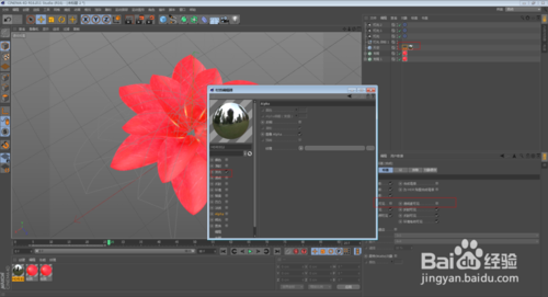 C4D怎么制作花朵開放的動畫效果