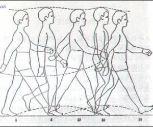Flash動(dòng)畫(huà)技巧:人側(cè)面走路動(dòng)畫(huà)制作