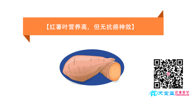 《紅薯葉營(yíng)養(yǎng)高，但無(wú)抗癌神效》健康醫(yī)療知識(shí)科普.png
