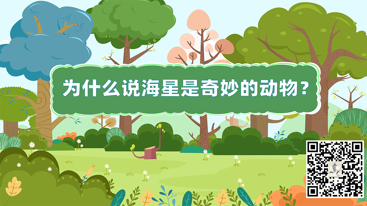 海星奇妙二維碼.png 海星奇妙二維碼.png