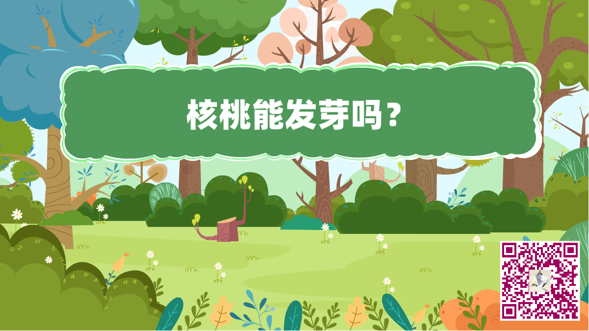 十萬個為什么標題（核桃發(fā)芽）二維碼.png