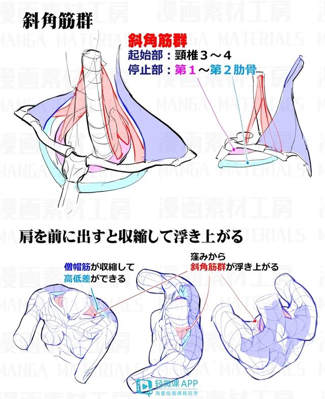 黃鶴樓動漫