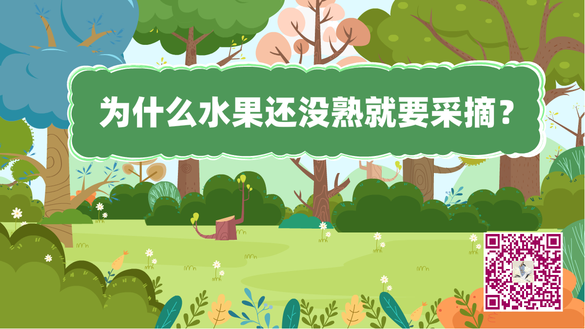 十萬(wàn)個(gè)為什么標(biāo)題(水果沒熟)1200.png 十萬(wàn)個(gè)為什么標(biāo)題(水果沒熟)1200.png