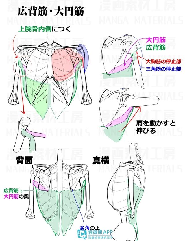 黃鶴樓動漫