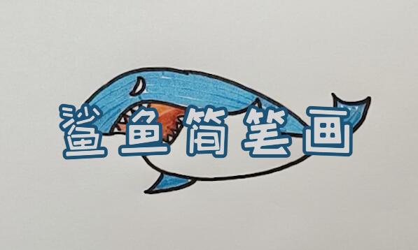 鯊魚(yú)簡(jiǎn)筆畫(huà)怎么畫(huà)呢？.jpg