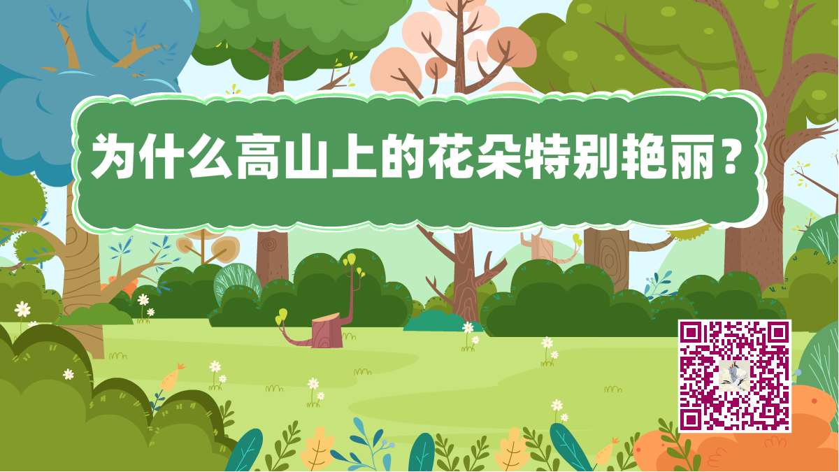 十萬個為什么標題(高山花朵)1200.png 十萬個為什么標題(高山花朵)1200.png