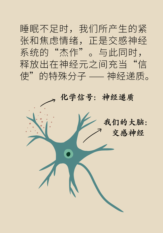 癌癥與睡眠都有那些關系？