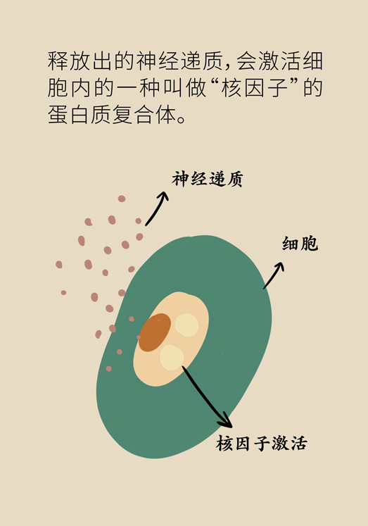 癌癥與睡眠都有那些關系？