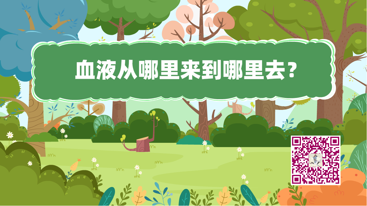 十萬個(gè)為什么標(biāo)題(血液)1200.png 十萬個(gè)為什么標(biāo)題(血液)1200.png