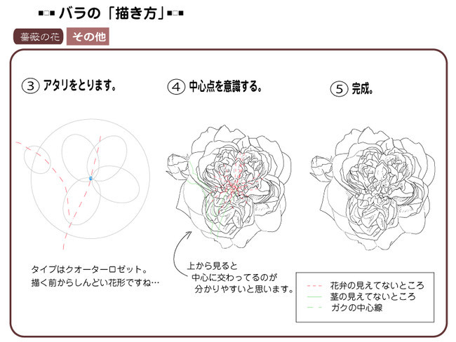 各種花的簡單畫法，一步一步教你畫鮮花