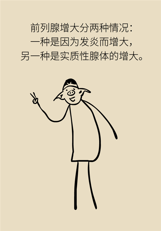 前列腺肥大了還能縮小嗎？