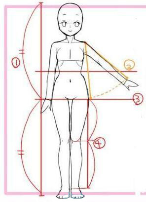 動(dòng)漫女生頭身比怎么畫(huà)？動(dòng)漫女生頭身比畫(huà)法教程一.jpg