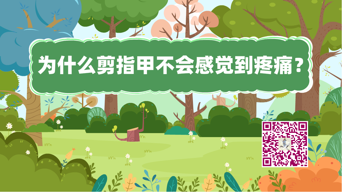 十萬(wàn)個(gè)為什么標(biāo)題(剪指甲)1200.png 十萬(wàn)個(gè)為什么標(biāo)題(剪指甲)1200.png