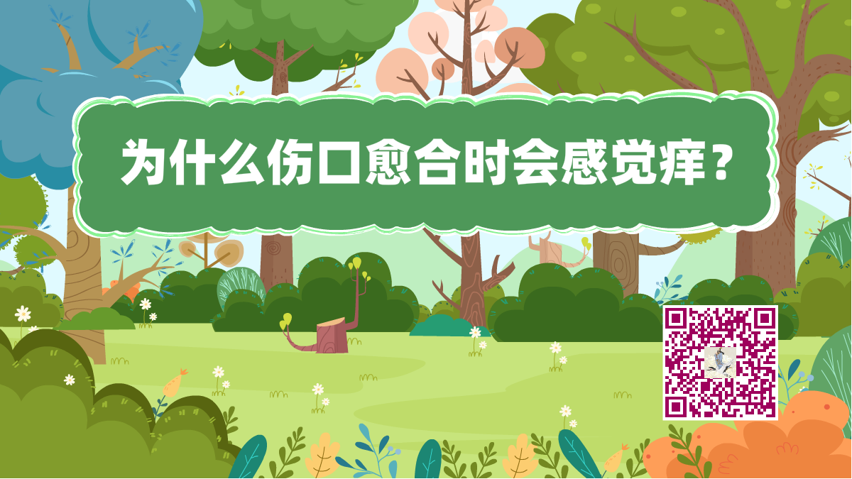 十萬(wàn)個(gè)為什么標(biāo)題(傷口癢)1200.png 十萬(wàn)個(gè)為什么標(biāo)題(傷口癢)1200.png