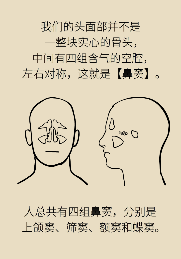 為什么鼻竇發(fā)炎，疼的卻是頭、眼和牙？