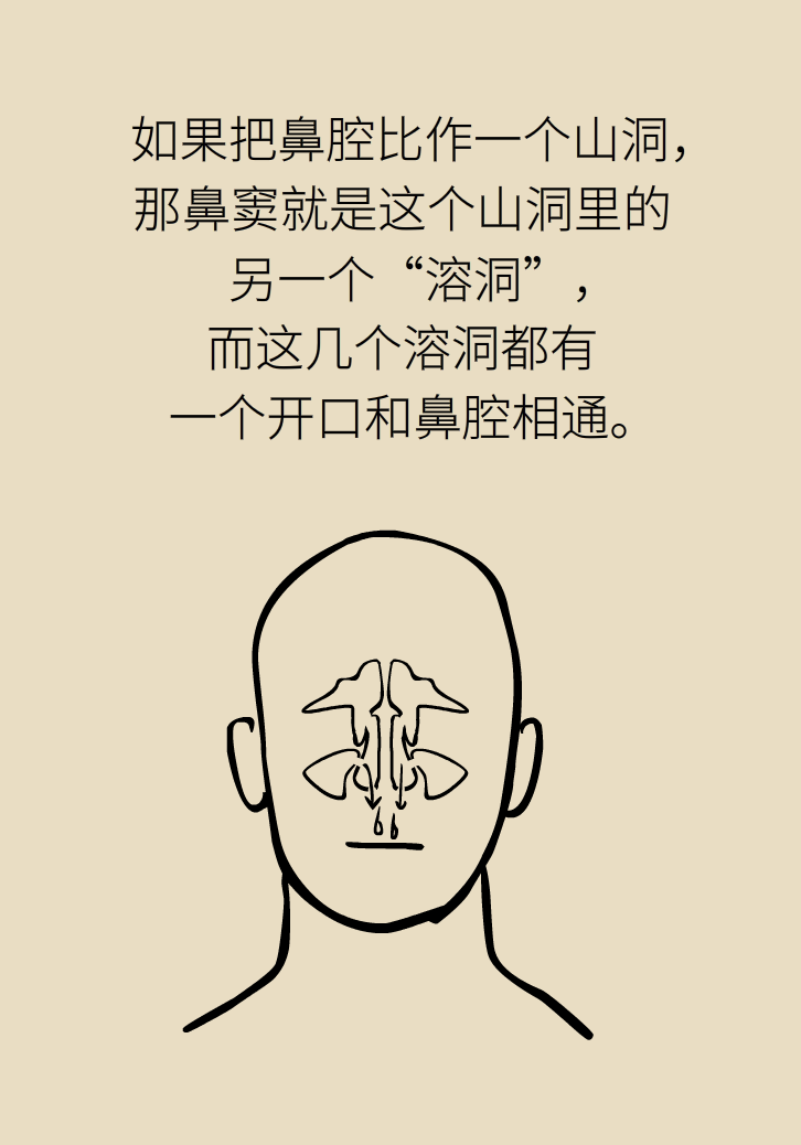 為什么鼻竇發(fā)炎，疼的卻是頭、眼和牙？