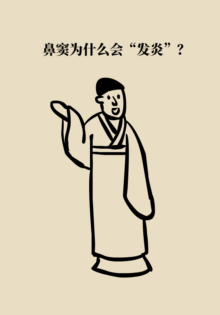 為什么鼻竇發(fā)炎，疼的卻是頭、眼和牙？