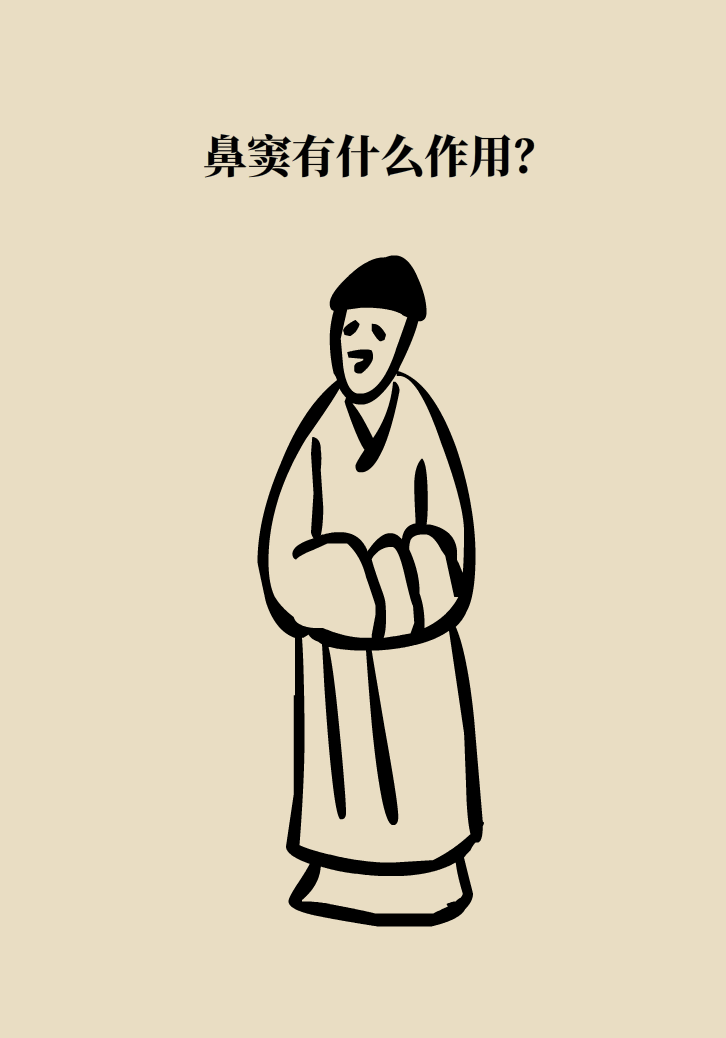 為什么鼻竇發(fā)炎，疼的卻是頭、眼和牙？