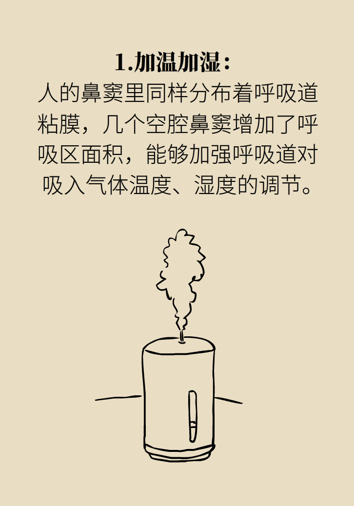 為什么鼻竇發(fā)炎，疼的卻是頭、眼和牙？