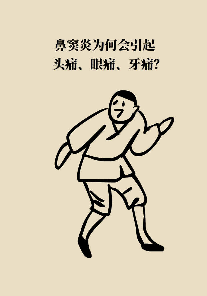 為什么鼻竇發(fā)炎，疼的卻是頭、眼和牙？