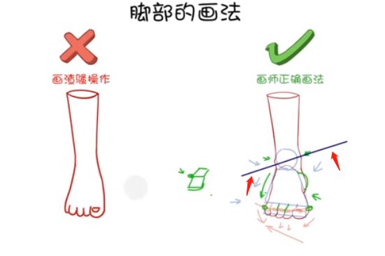 在腳腕的地方，畫出一些凸出來的踝關(guān)節(jié)，一定要記住里面的踝關(guān)節(jié)會(huì)比外面的踝關(guān)節(jié)要高，能形成一個(gè)傾斜的坡度。.png