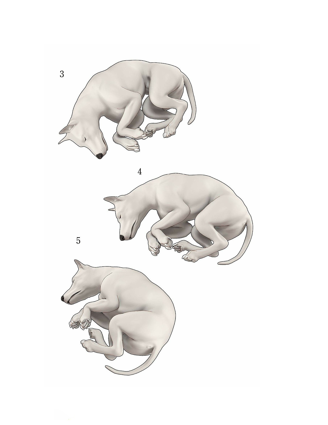 貓?jiān)趺串?huà)，狗狗怎么畫(huà)？貓、犬の繪畫(huà)方法