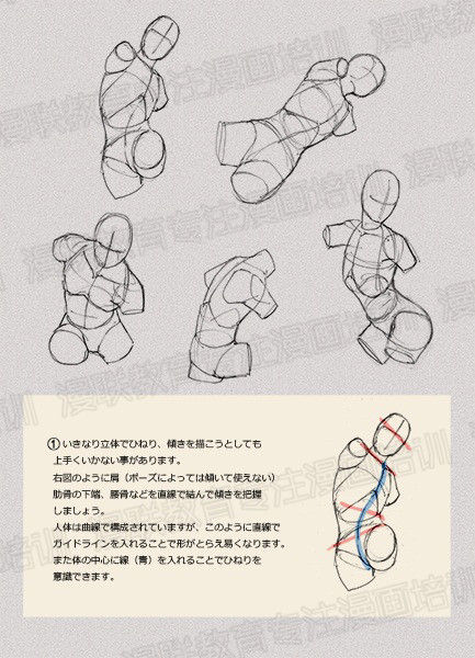 零基礎(chǔ)學(xué)繪畫(huà)教程！如何正確掌握繪畫(huà)人體結(jié)構(gòu)？