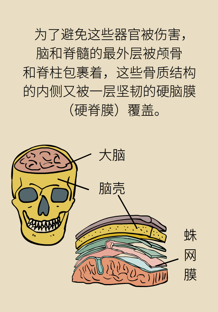 練瑜伽把腦脊液拉漏了！常見的“瑜伽病”你知道多少