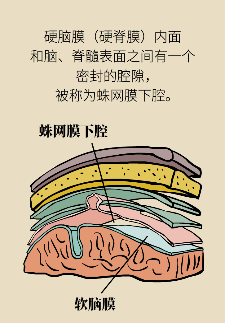 練瑜伽把腦脊液拉漏了！常見的“瑜伽病”你知道多少
