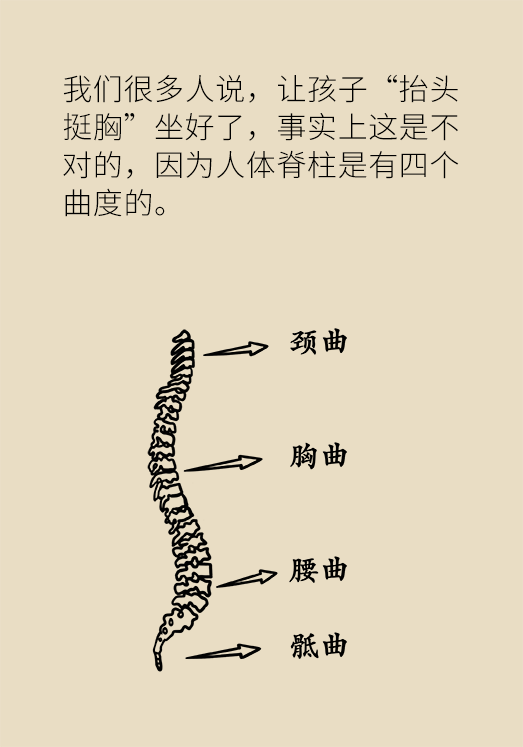 正確坐姿科普動漫制作：抬頭挺胸竟然不是最正確的姿勢？