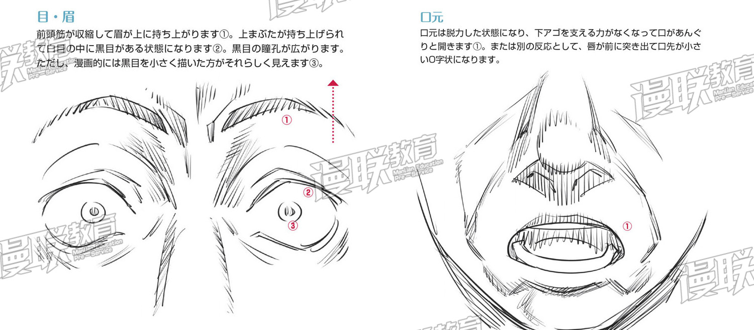 「教程」漫畫人物6種基本表情的畫法 part 04 “驚”的表情畫法