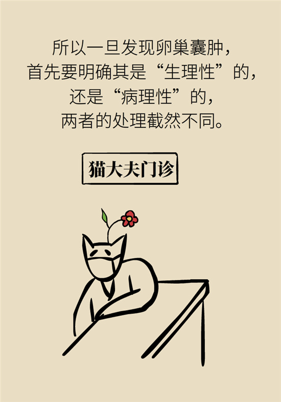卵巢囊腫科普動漫：卵巢囊腫是腫瘤嗎？要學會這樣區(qū)分