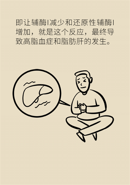 喝酒之后會傷肝？這個因素很重要