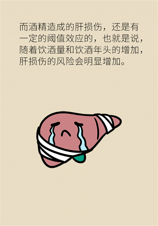 喝酒之后會傷肝？這個因素很重要