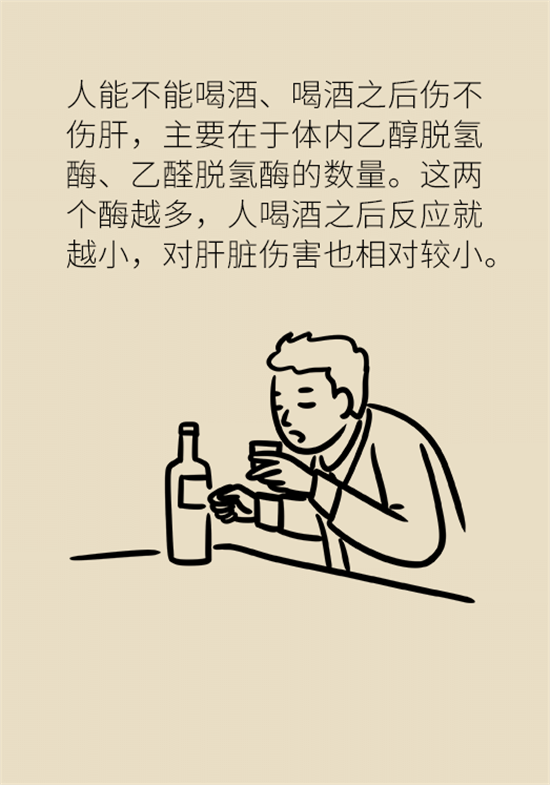 喝酒之后會傷肝？這個因素很重要