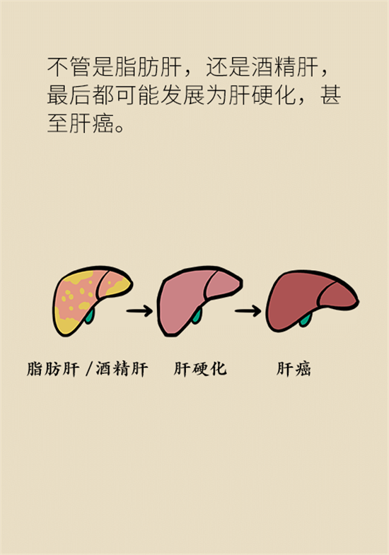 喝酒之后會傷肝？這個因素很重要