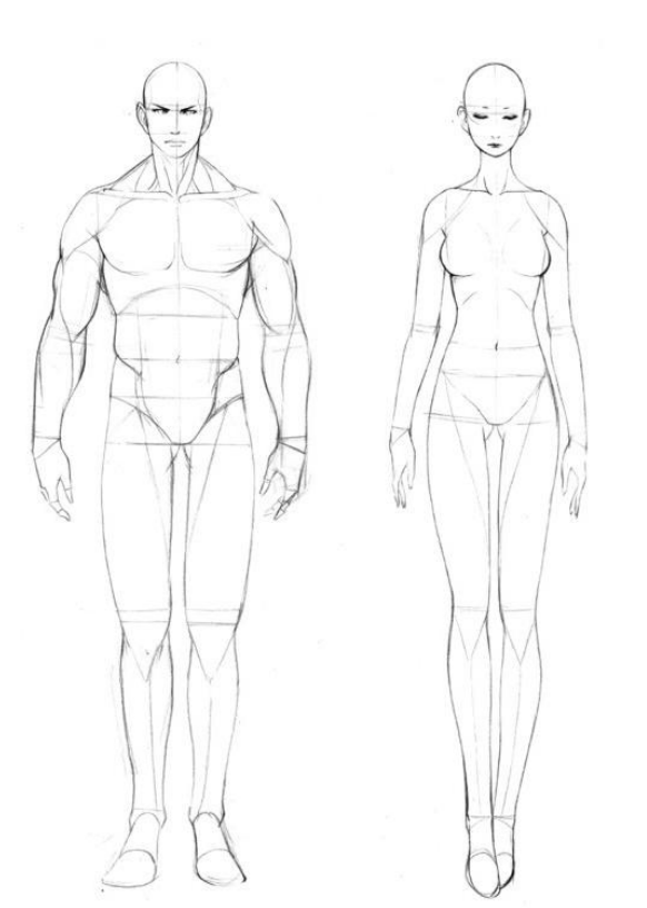 「動漫設計」人體繪畫基礎 part 01 認識骨骼（2）