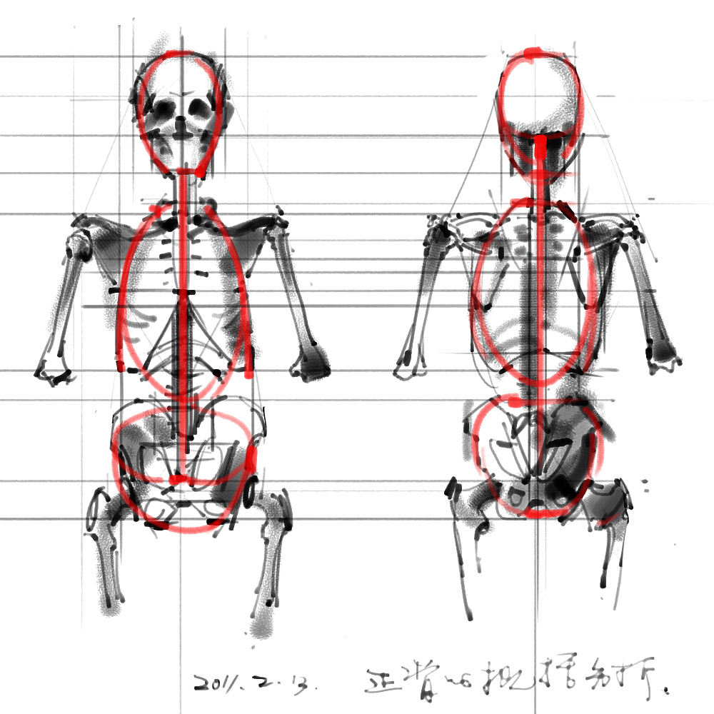 「動(dòng)漫設(shè)計(jì)」分享一波繪畫專用人體解剖素材 part 01