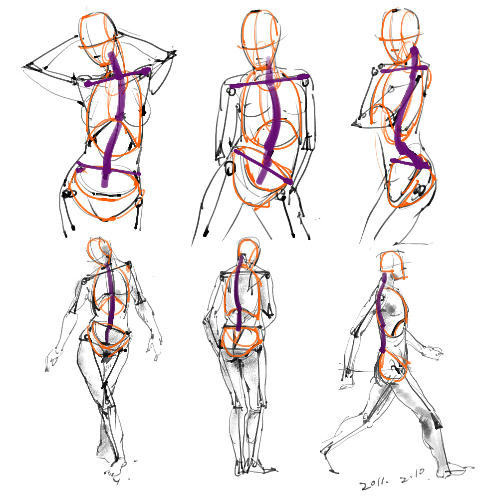 「動(dòng)漫設(shè)計(jì)」分享一波繪畫專用人體解剖素材 part 01