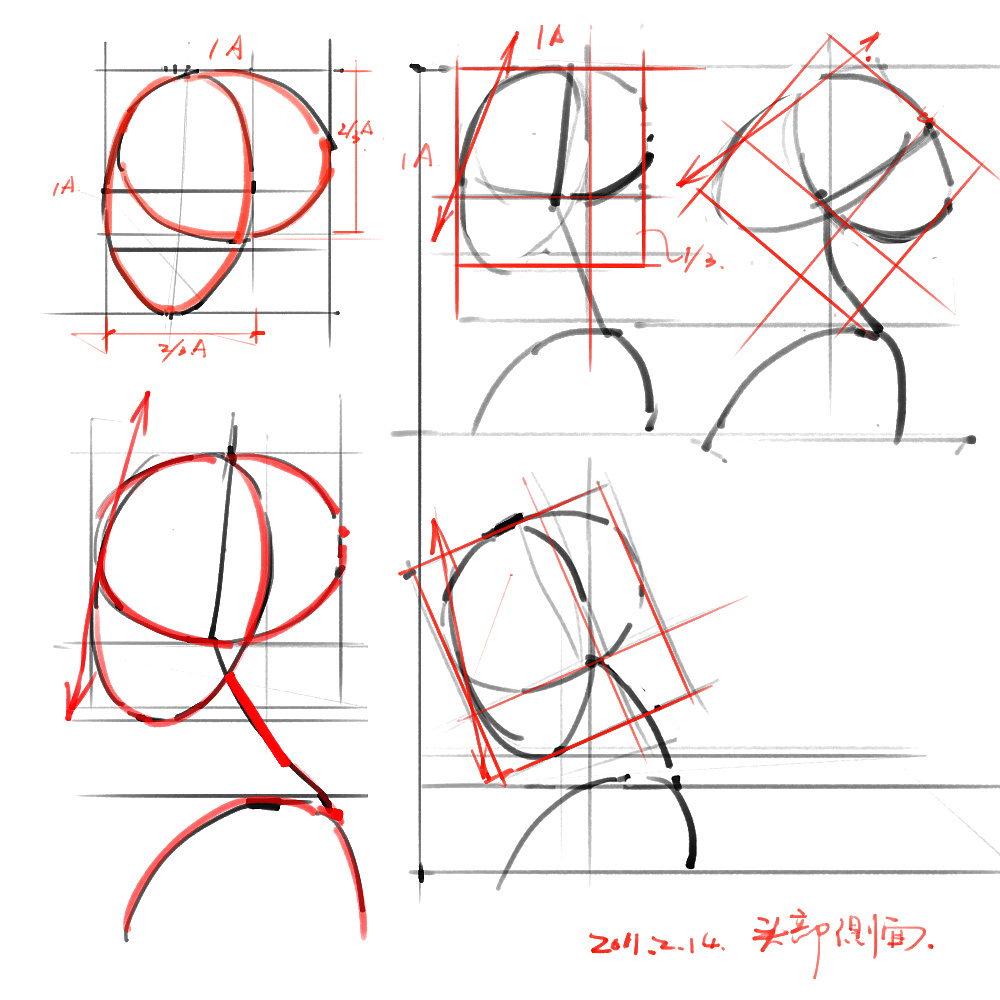 「動(dòng)漫設(shè)計(jì)」分享一波繪畫專用人體解剖素材 part 02