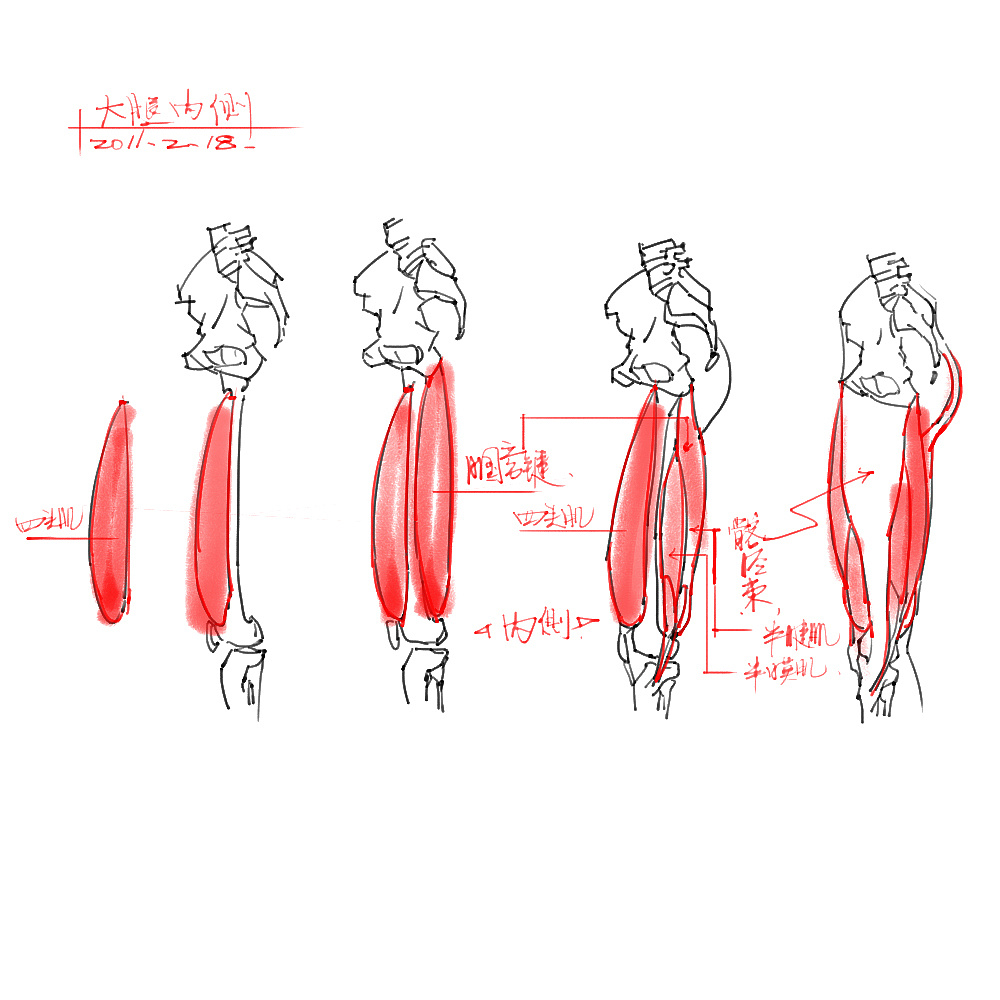 「動漫設(shè)計」分享一波繪畫專用人體解剖素材 part 04