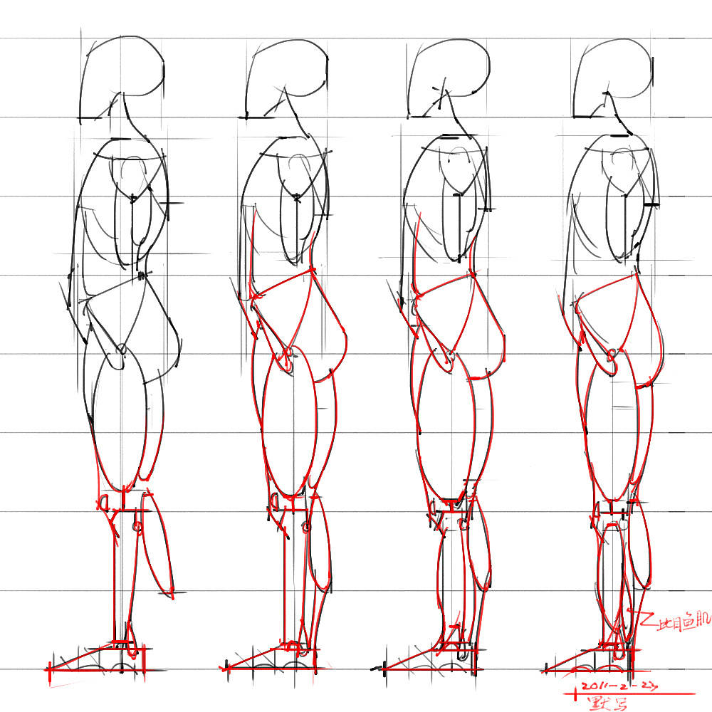 「動(dòng)漫設(shè)計(jì)」分享一波繪畫專用人體解剖素材 part 05