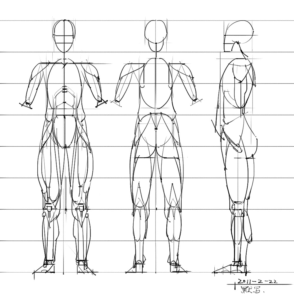 「動(dòng)漫設(shè)計(jì)」分享一波繪畫專用人體解剖素材 part 05