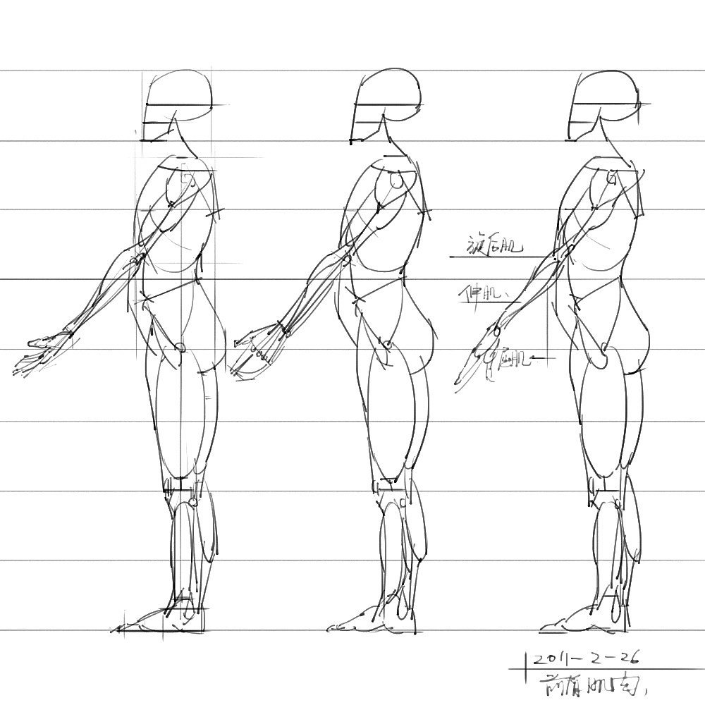 「動(dòng)漫設(shè)計(jì)」分享一波繪畫專用人體解剖素材 part 06