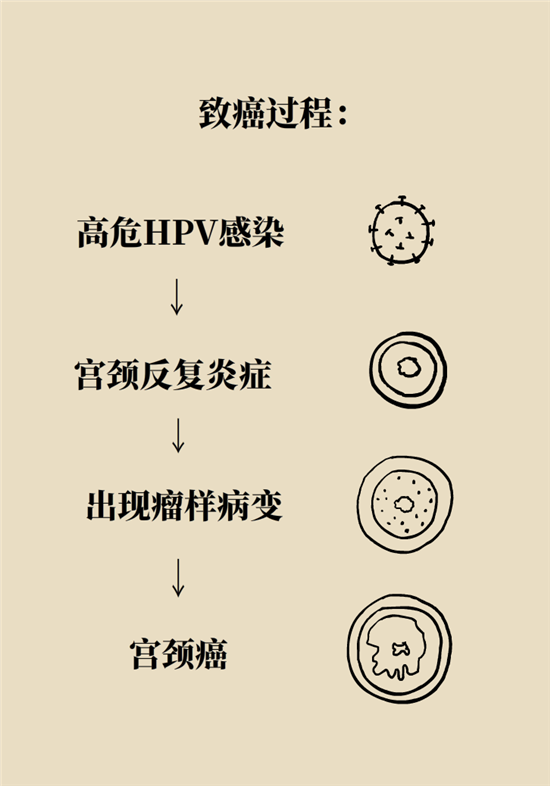 癌癥會(huì)傳染嗎？專家：這些高危因素得注意