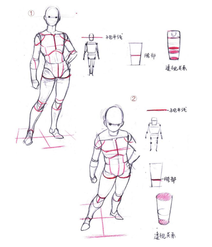 「動(dòng)漫設(shè)計(jì)」人體繪畫進(jìn)階 part 02 四大點(diǎn)八小點(diǎn)