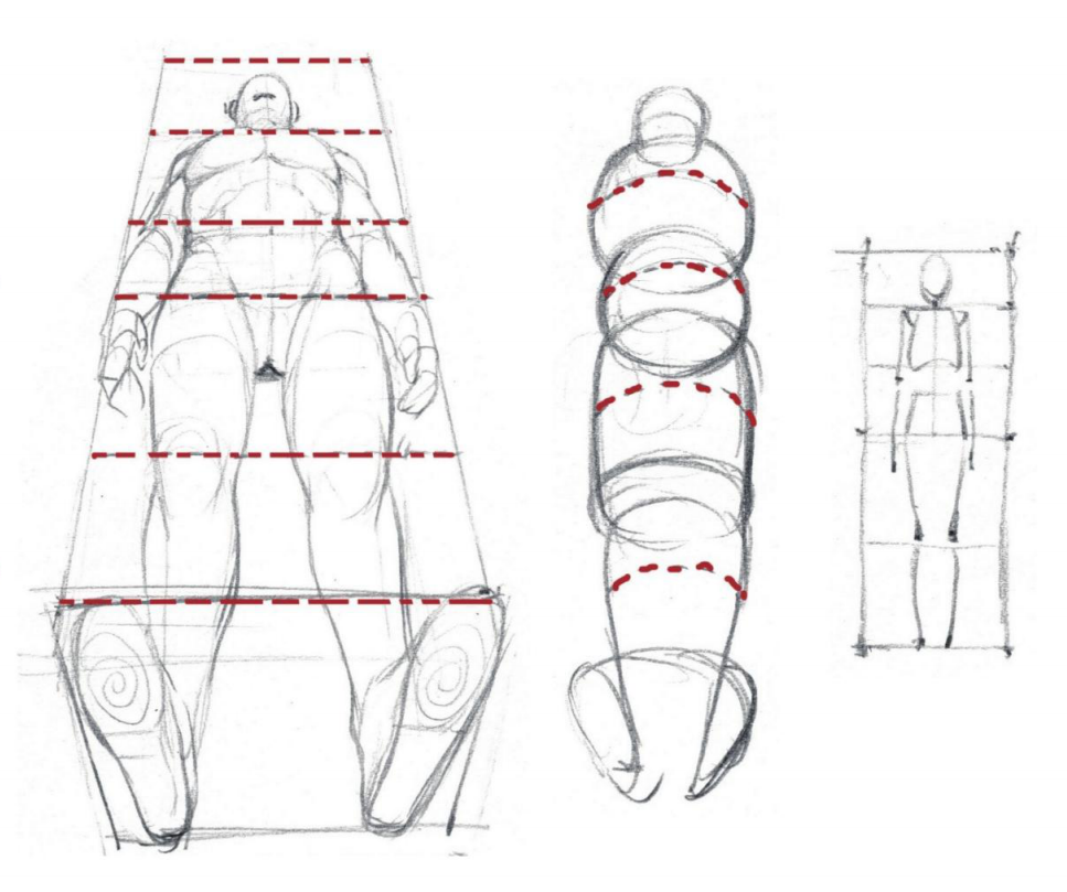 「動(dòng)漫設(shè)計(jì)」人體繪畫進(jìn)階 part 02 四大點(diǎn)八小點(diǎn)