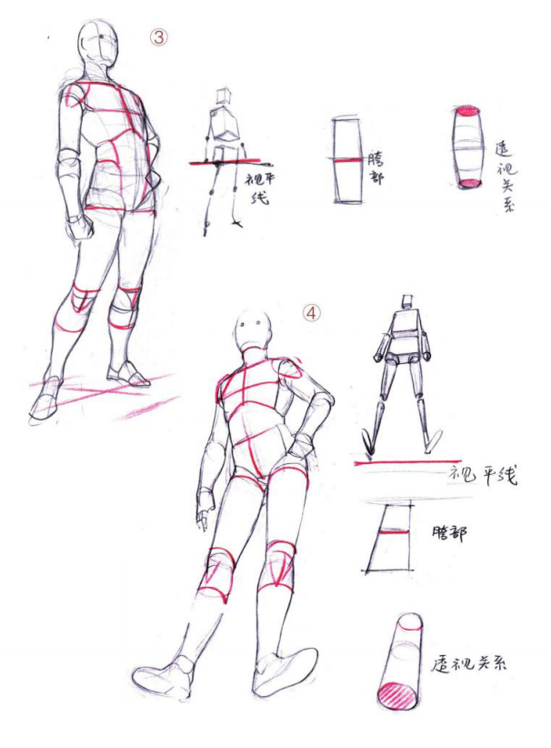 「動(dòng)漫設(shè)計(jì)」人體繪畫進(jìn)階 part 02 四大點(diǎn)八小點(diǎn)