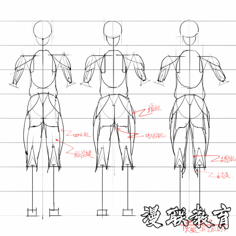 「動(dòng)漫設(shè)計(jì)素材」分享一波繪畫(huà)專用人體解剖素材 part 08 「動(dòng)漫設(shè)計(jì)素材」分享一波繪畫(huà)專用人體解剖素材 part 08